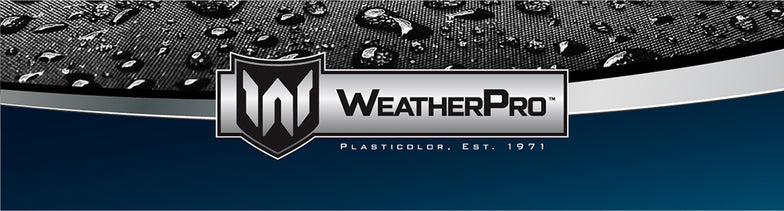WeatherPro™